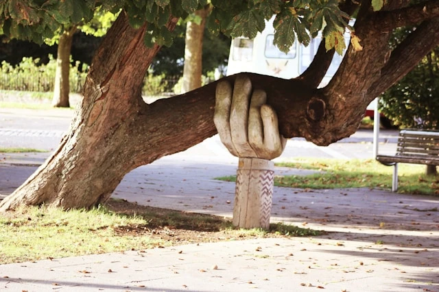 Hand aus Holz, die einen Baum stützt